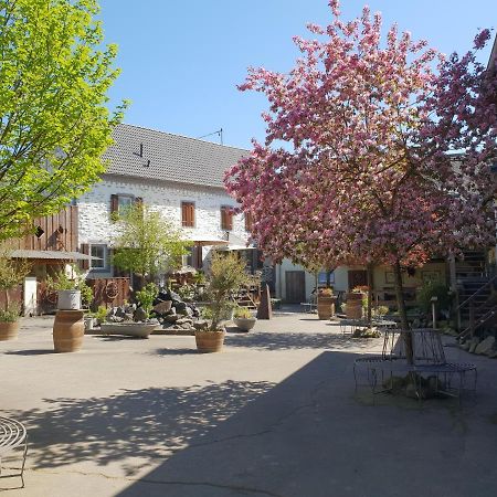Besondere Ferienwohnung Spirit Auf Idyllischem Reiterhof Nahe Burg Eltz Münstermaifeld Buitenkant foto