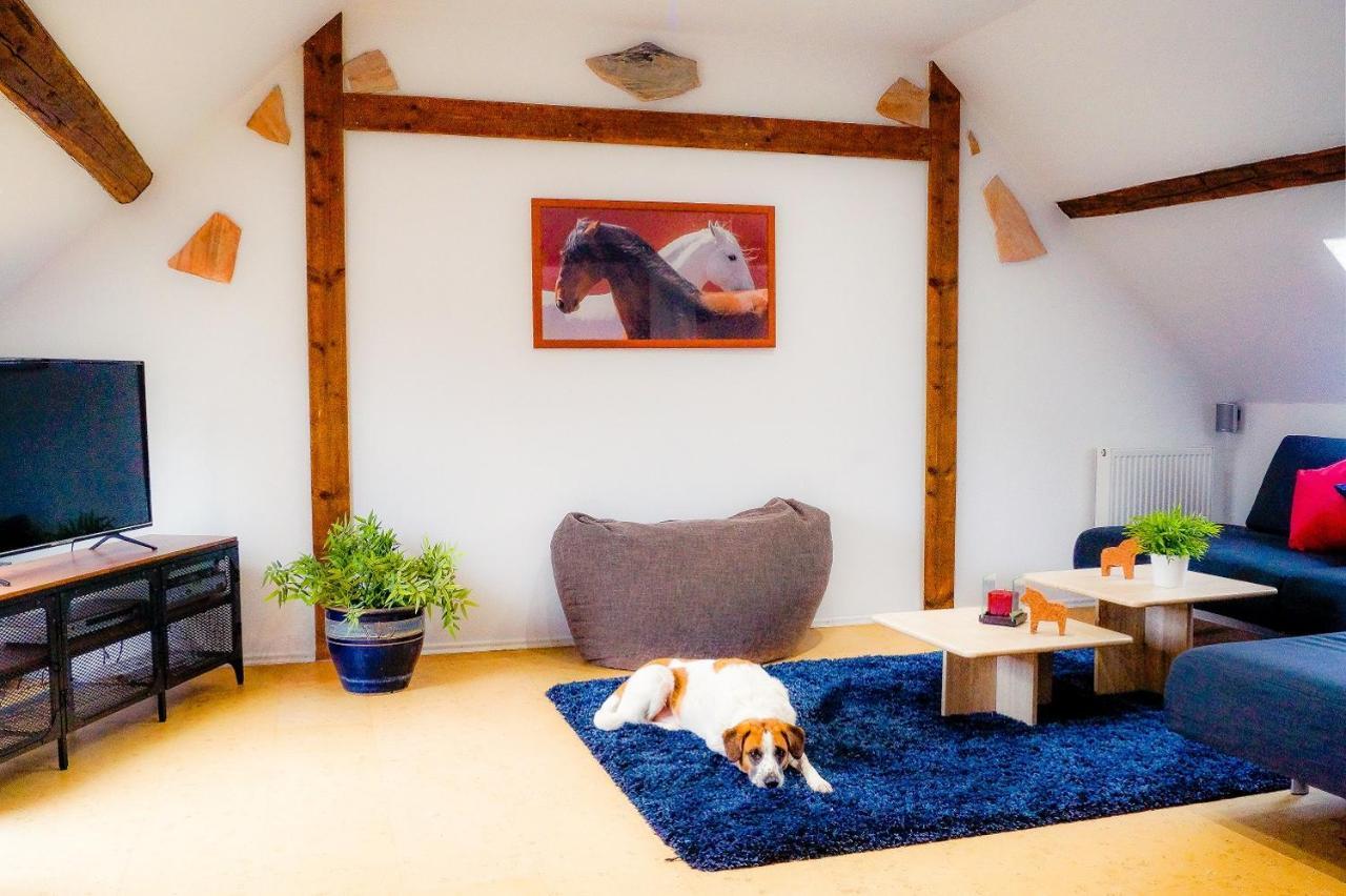 Besondere Ferienwohnung Spirit Auf Idyllischem Reiterhof Nahe Burg Eltz Münstermaifeld Buitenkant foto