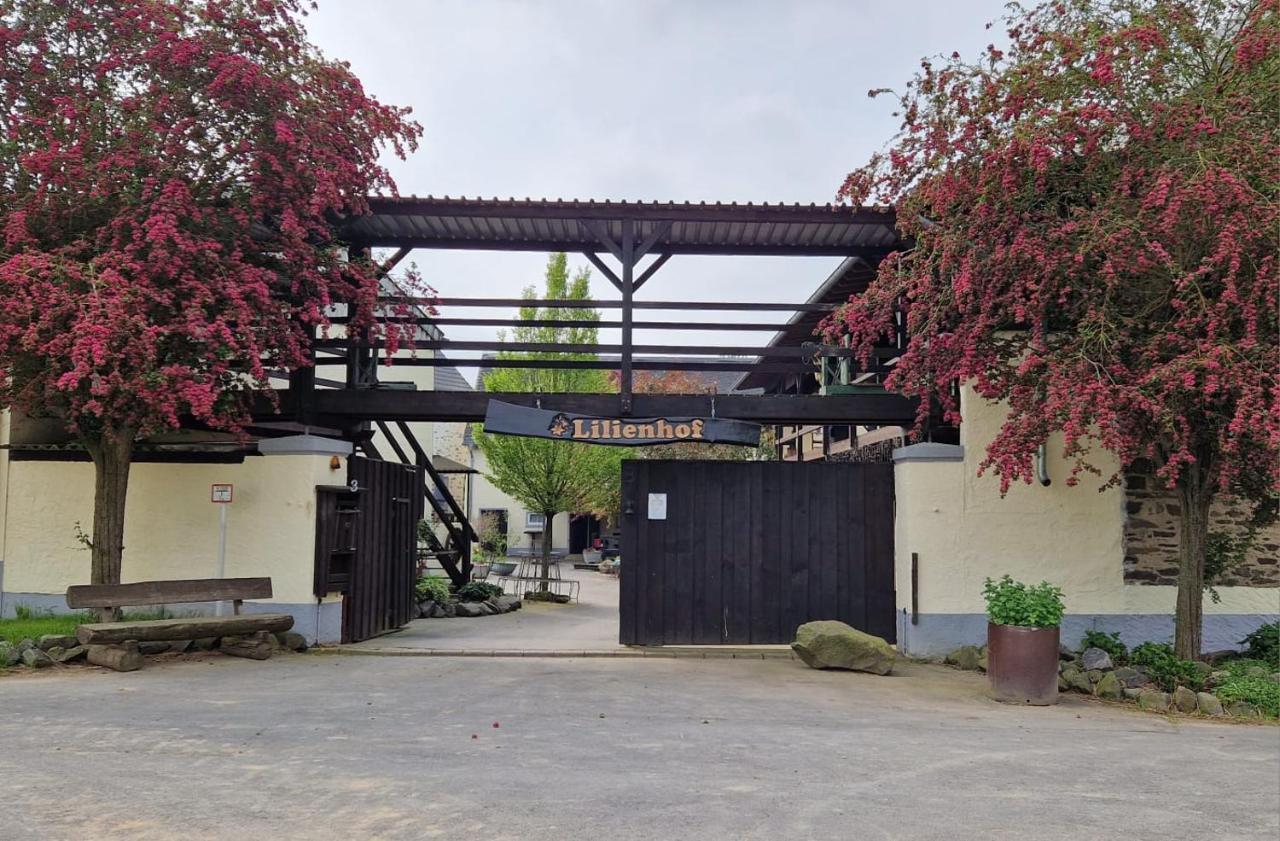 Besondere Ferienwohnung Spirit Auf Idyllischem Reiterhof Nahe Burg Eltz Münstermaifeld Buitenkant foto